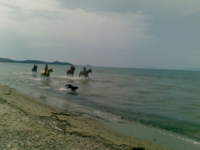  Promenade 